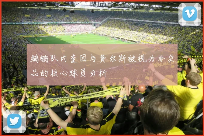 鹈鹕队内奎因与费尔斯被视为非卖品的核心球员分析
